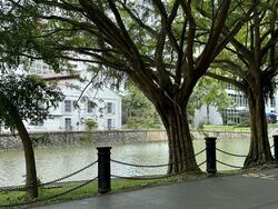 UP@Robertson Quay (D9), Apartment #503105921